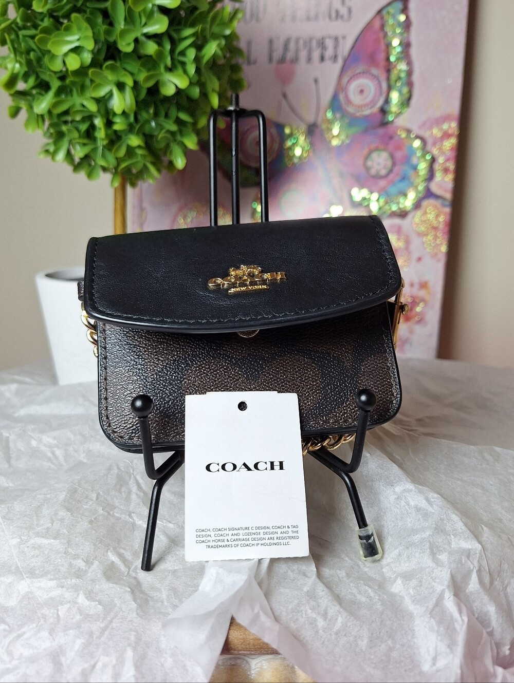 Coach Mini Signature - Picture 10 of 12